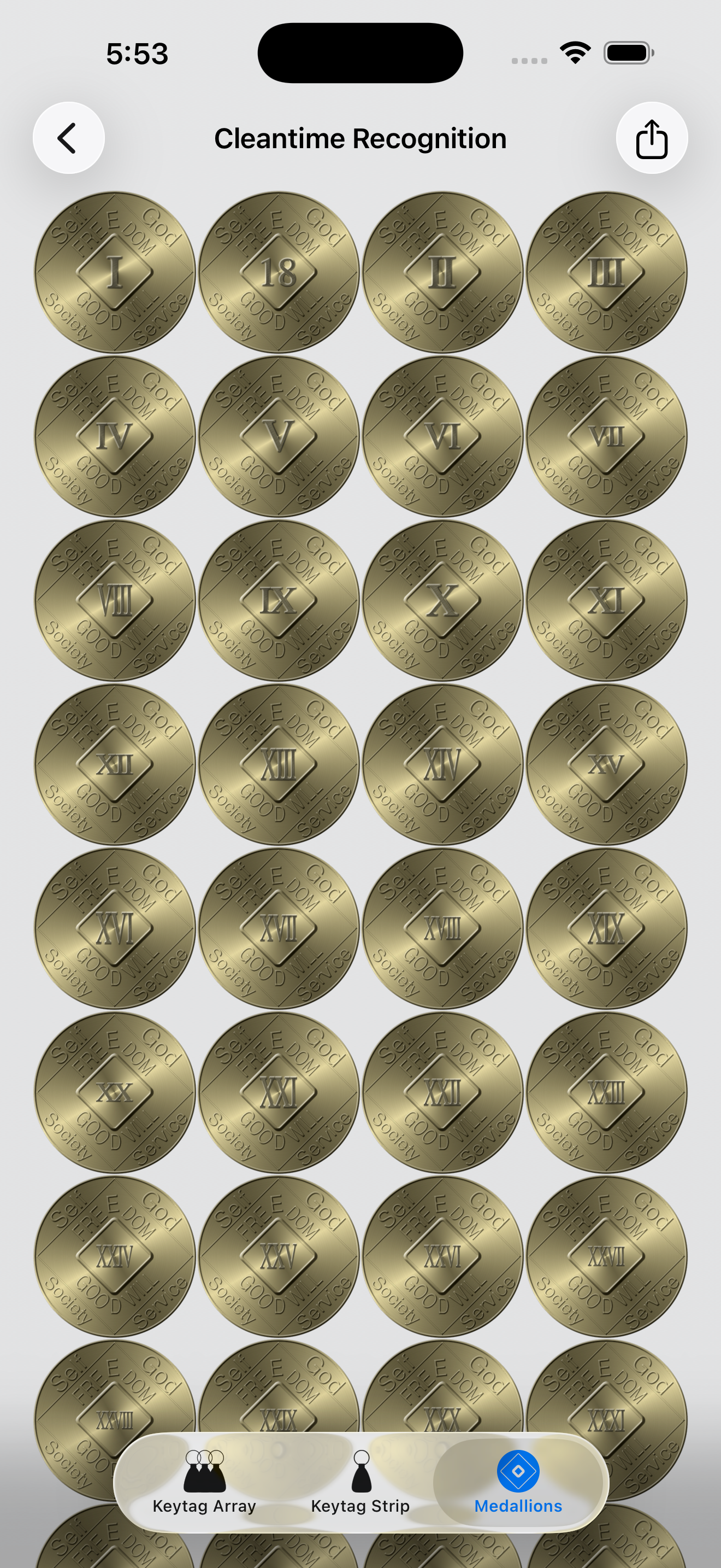 NACC medallion array